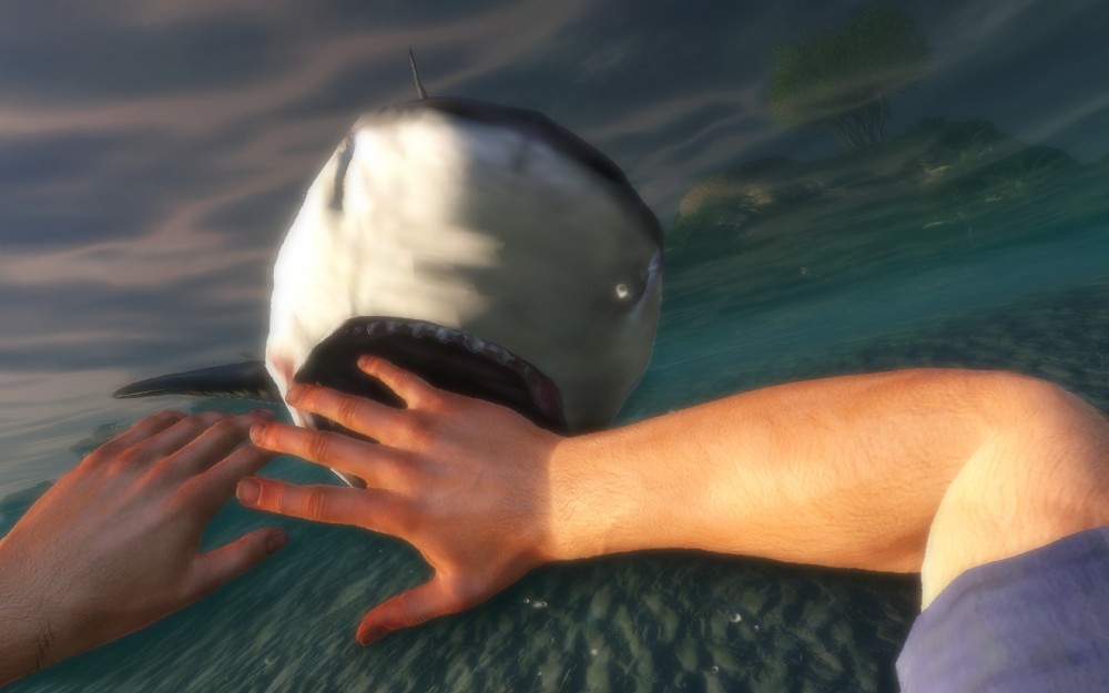 Far Cry 3