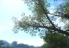 Far Cry 3