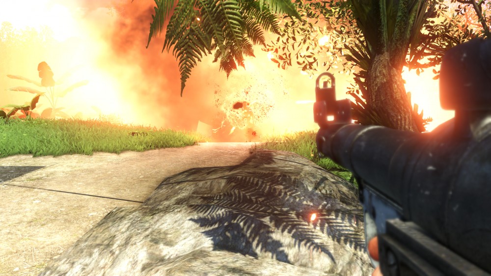 Far Cry 3
