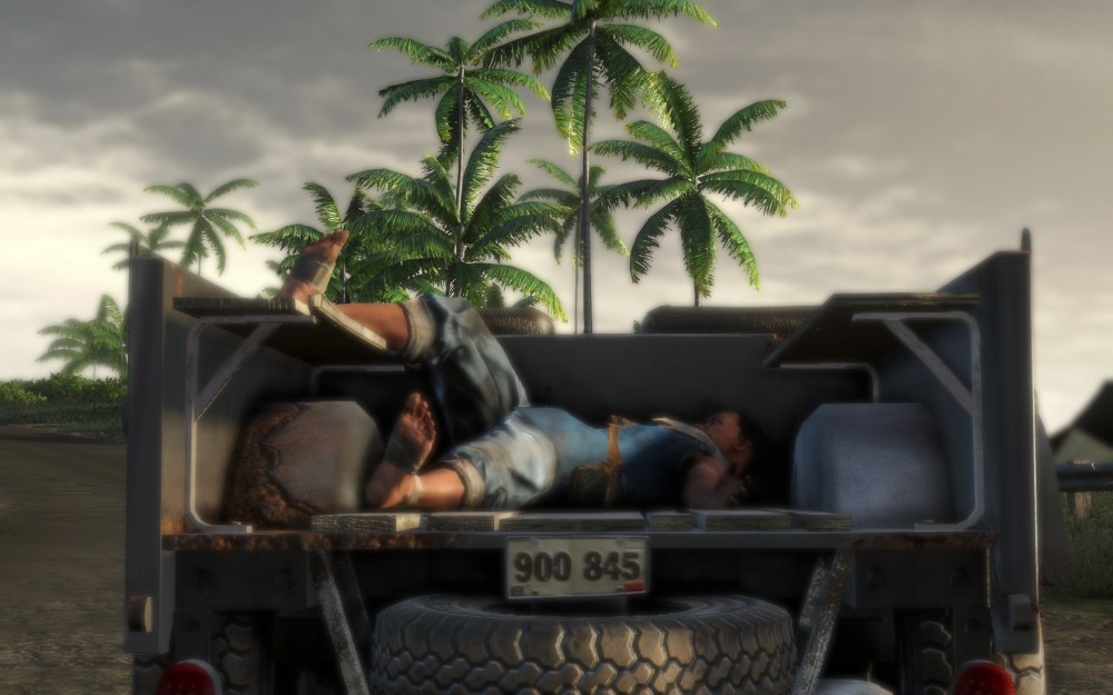 Far Cry 3