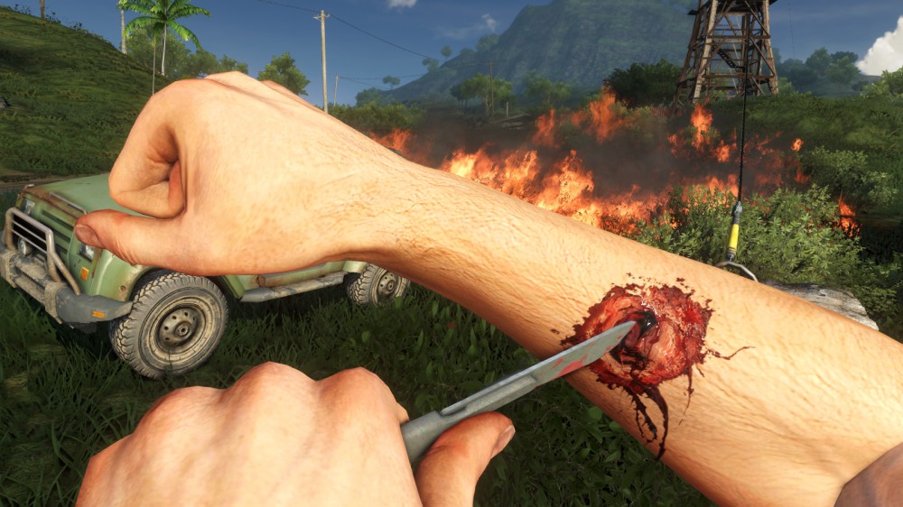 Far Cry 3