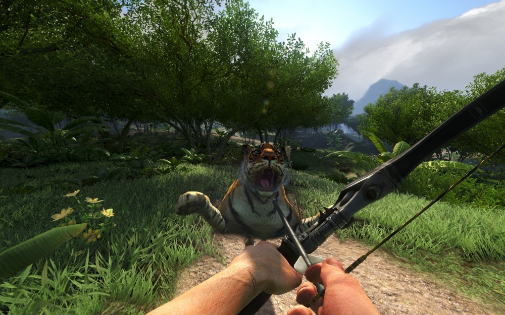 Far Cry 3