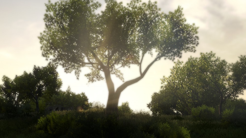 Far Cry 3