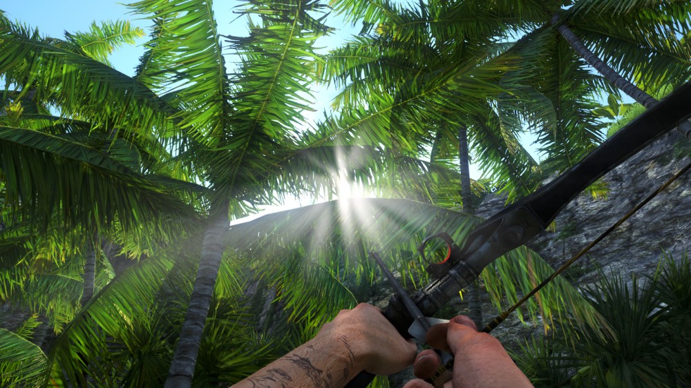 Far Cry 3