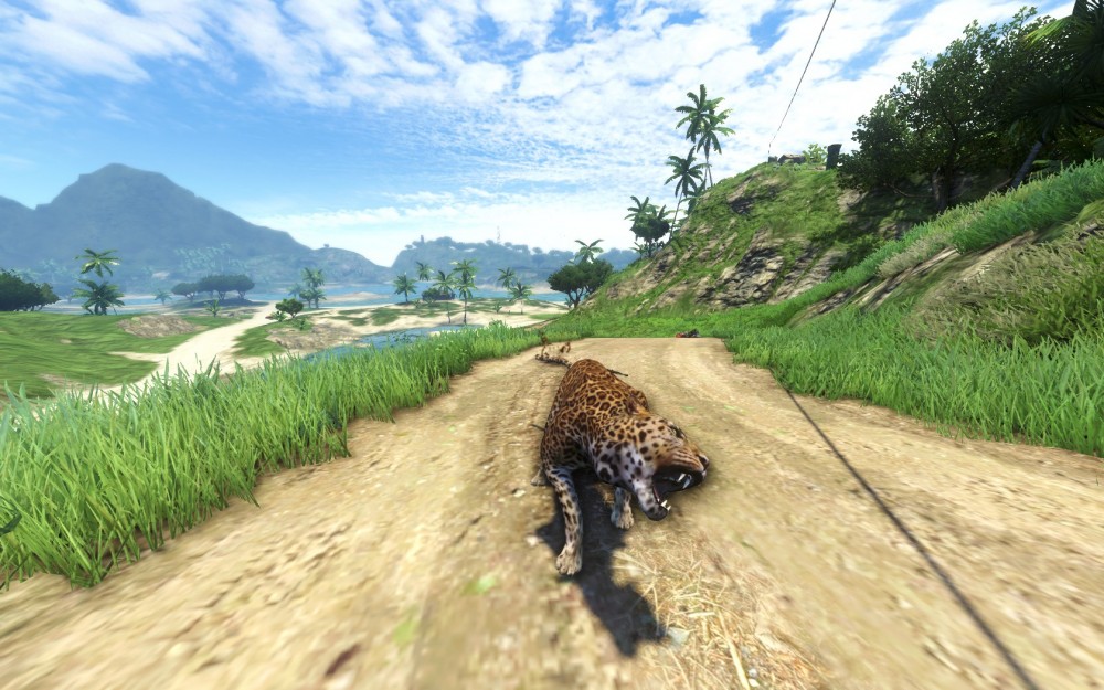 Far Cry 3