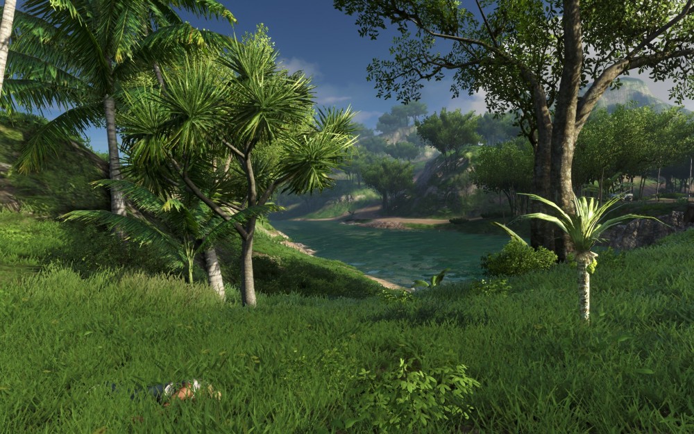 Far Cry 3