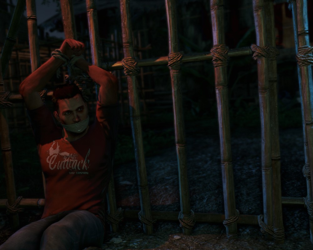 Far Cry 3