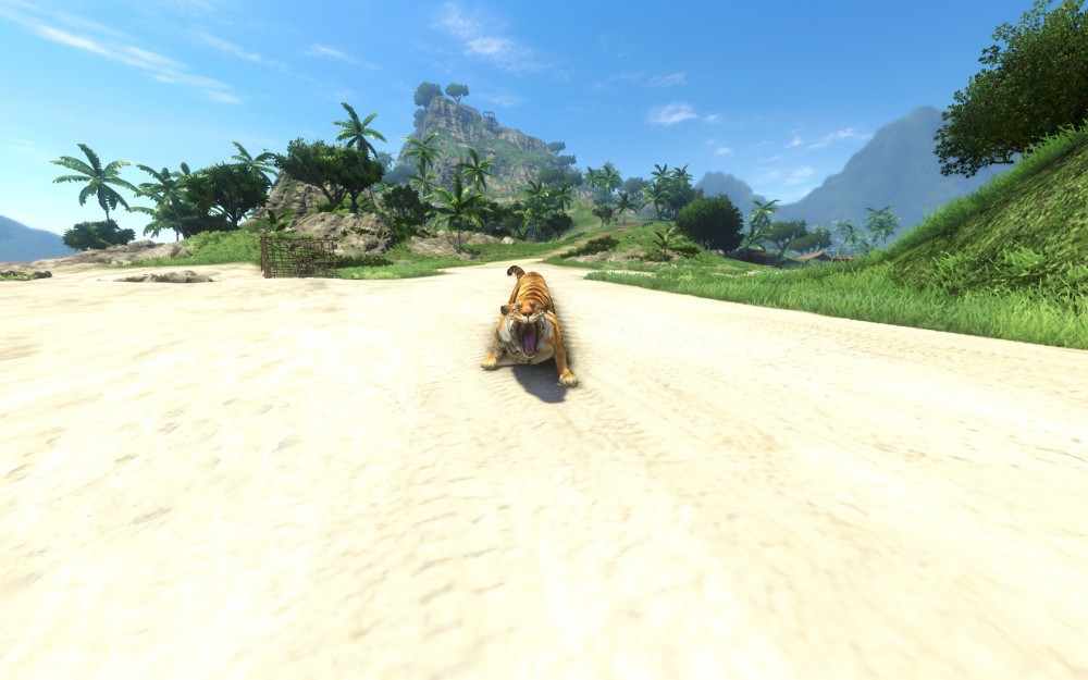 Far Cry 3