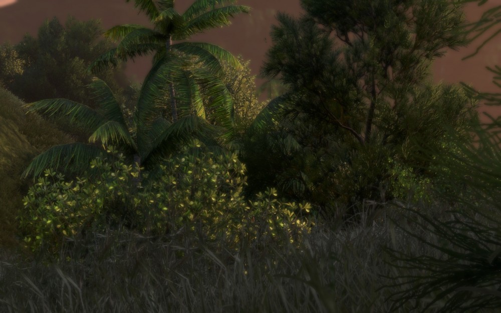 Far Cry 3