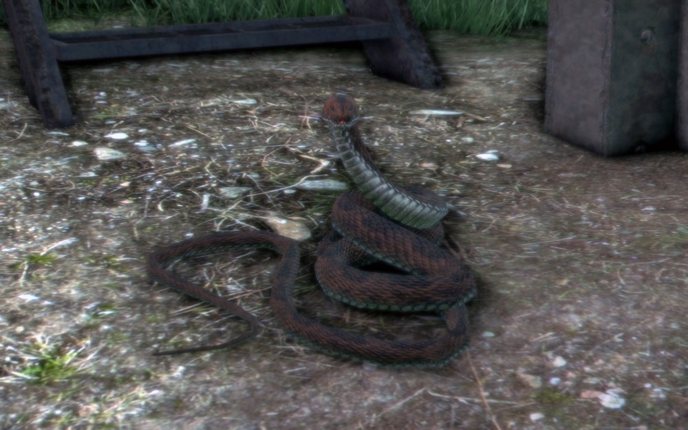 Far Cry 3