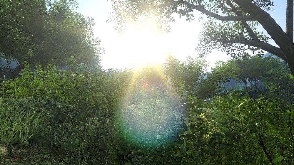 Far Cry 3