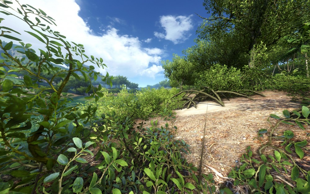 Far Cry 3