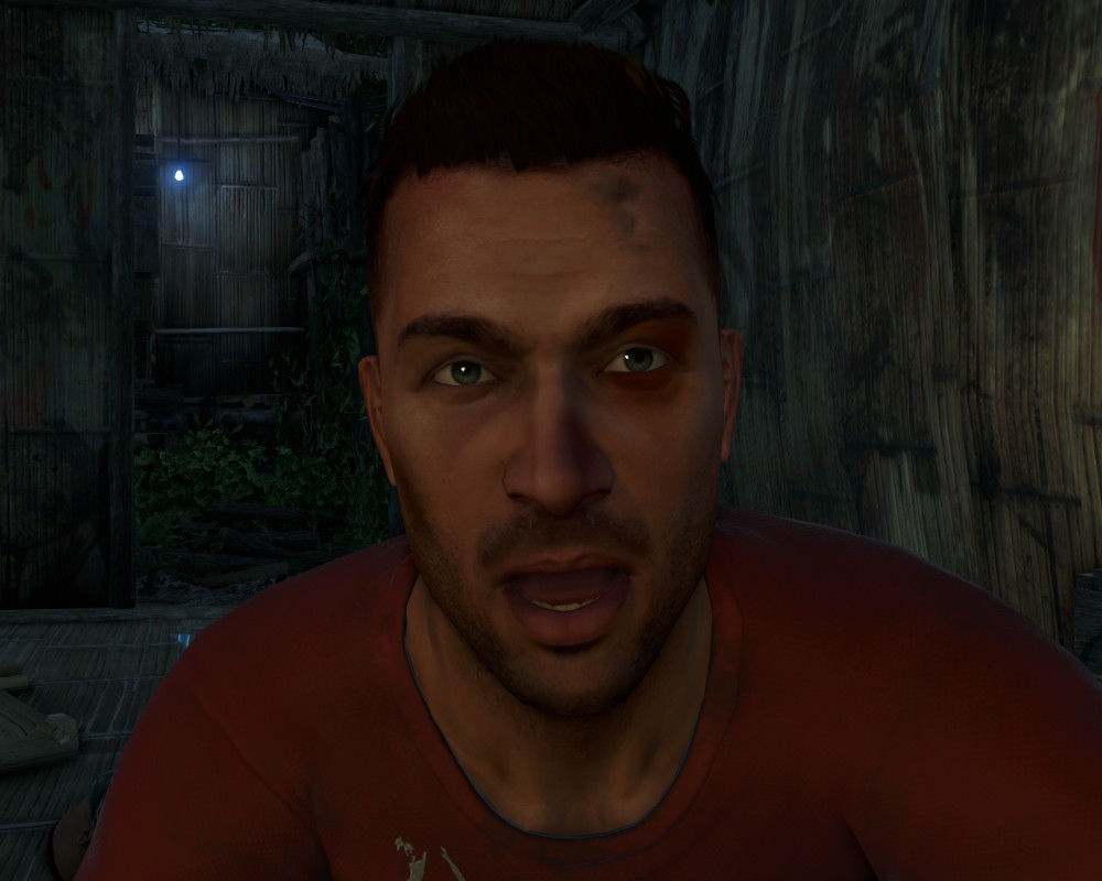 Far Cry 3