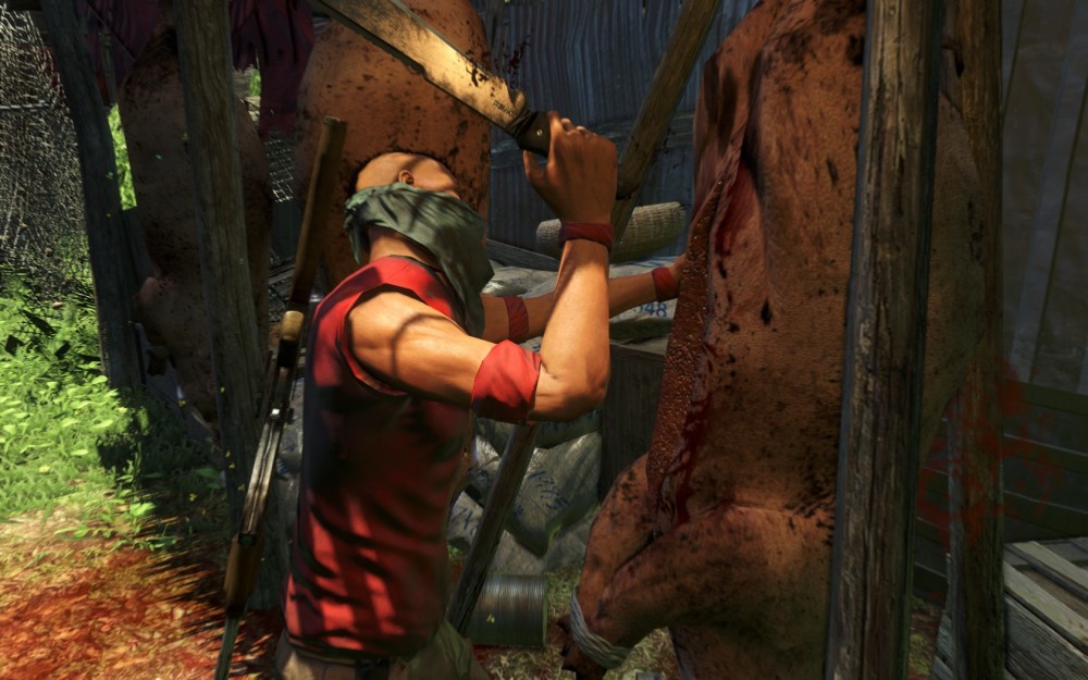 Far Cry 3