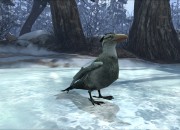 Dreamfall: The Longest Journey