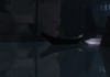 Dreamfall: The Longest Journey