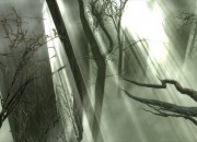 Dreamfall: The Longest Journey