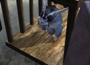 Dreamfall: The Longest Journey