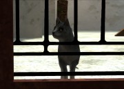 Dreamfall: The Longest Journey