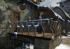Dreamfall: The Longest Journey