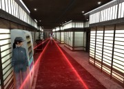 Dreamfall: The Longest Journey