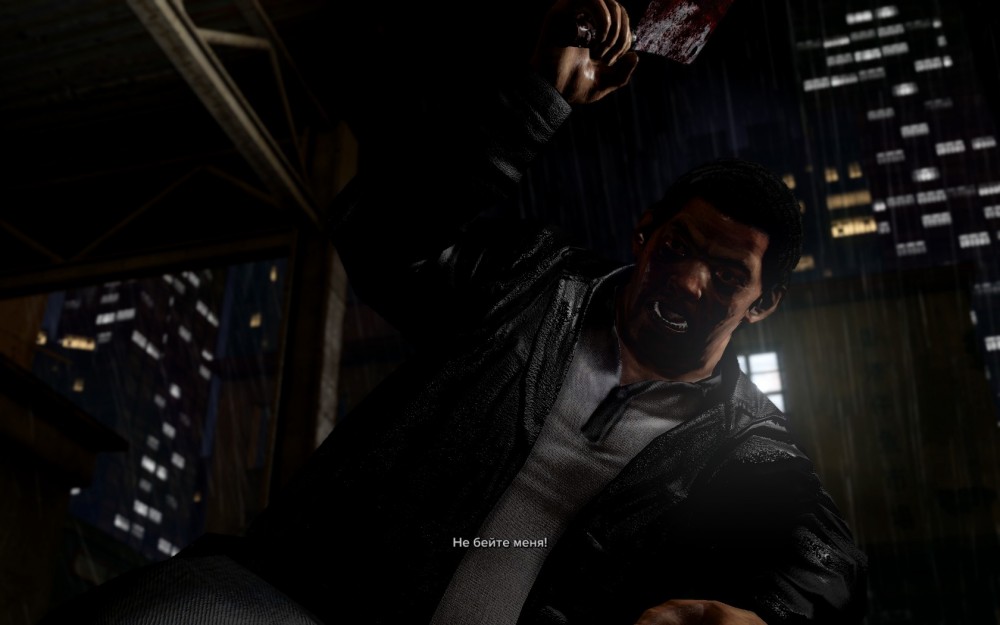 Sleeping Dogs