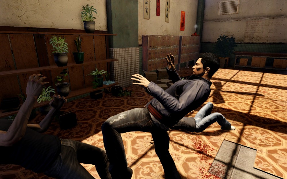 Sleeping Dogs