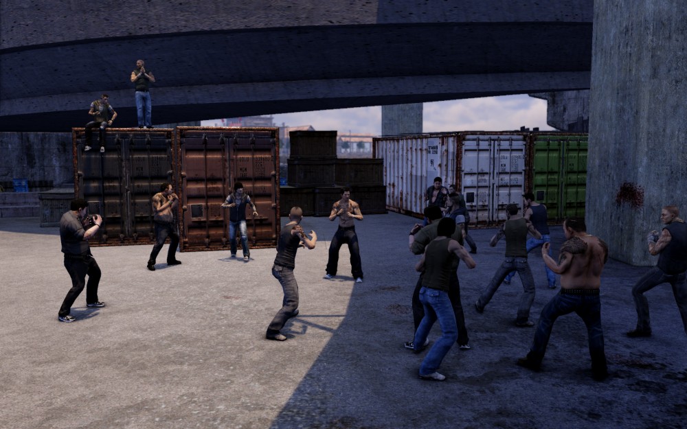 Sleeping Dogs