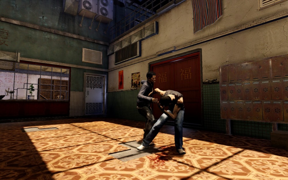 Sleeping Dogs
