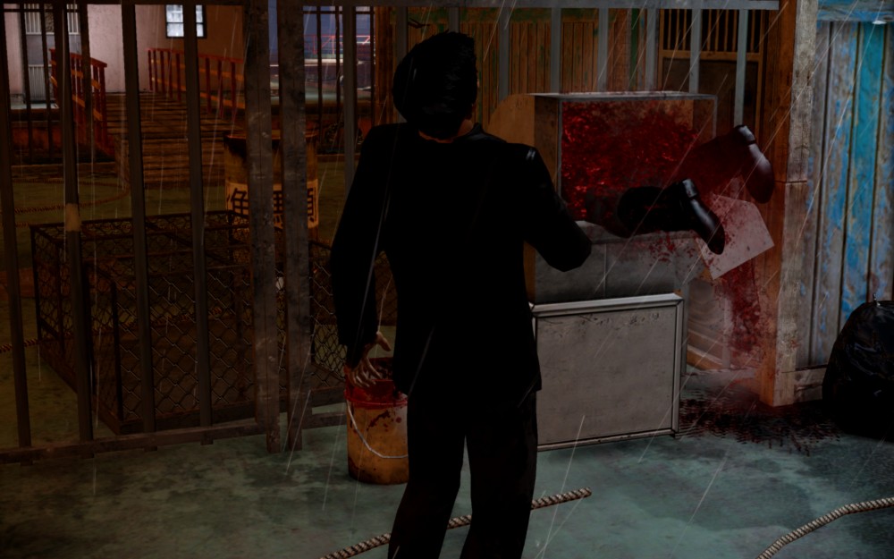 Sleeping Dogs