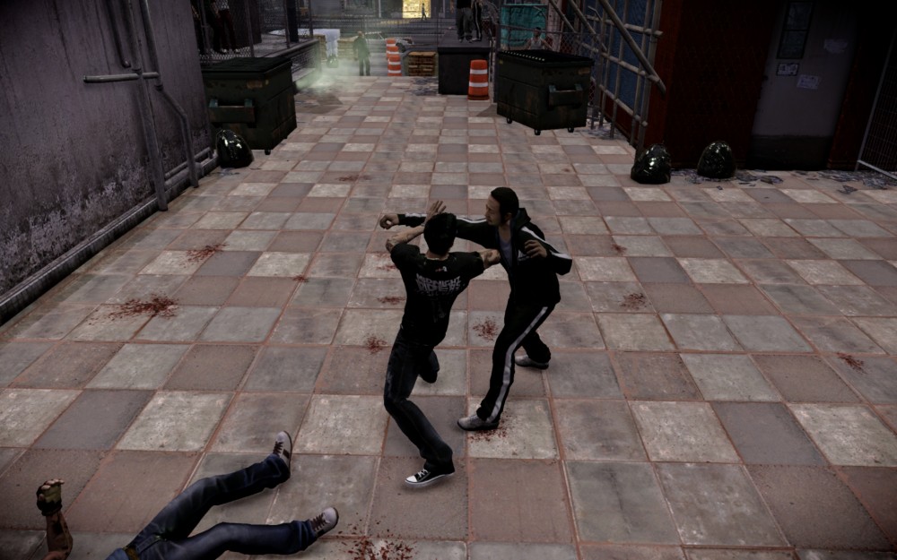 Sleeping Dogs