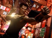 Sleeping Dogs