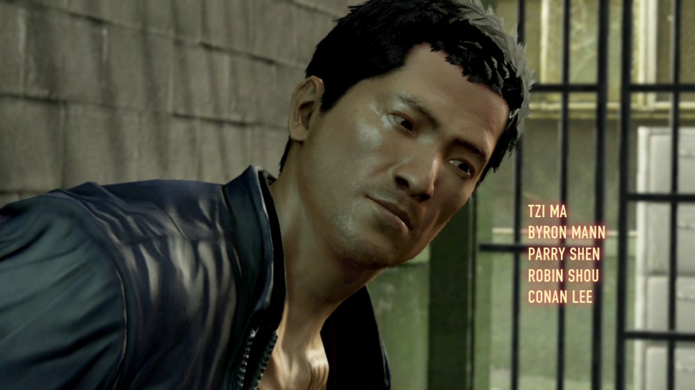 Sleeping Dogs