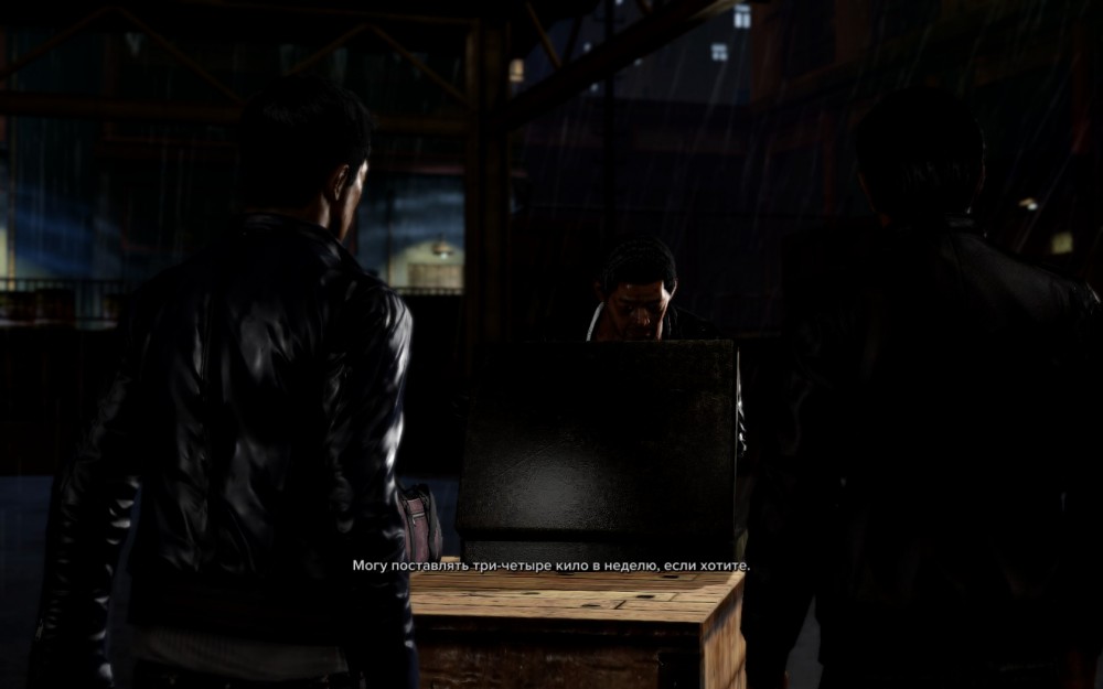 Sleeping Dogs