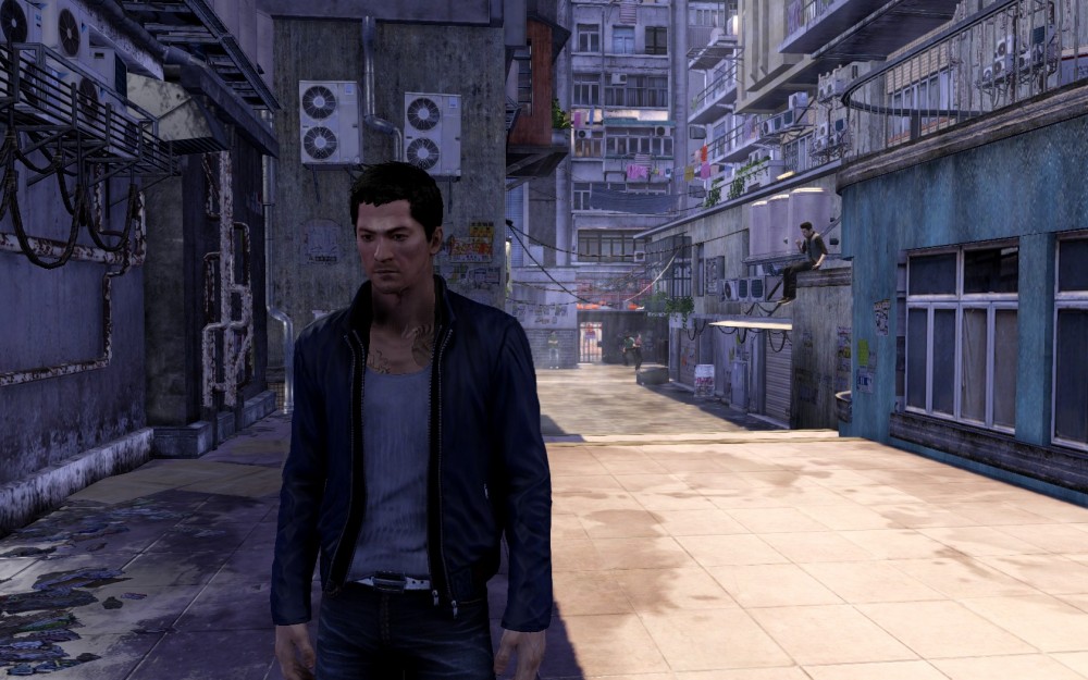 Sleeping Dogs