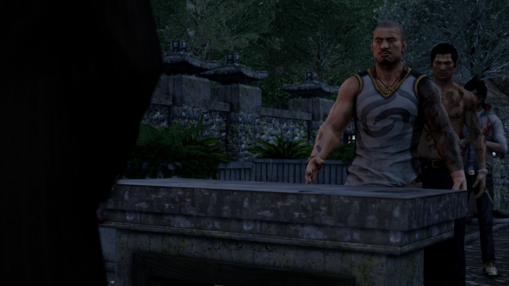 Sleeping Dogs