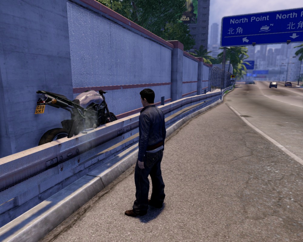 Sleeping Dogs