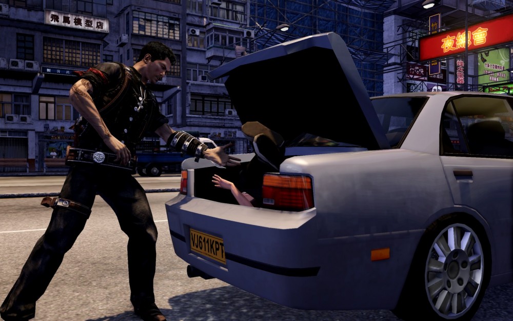 Sleeping Dogs