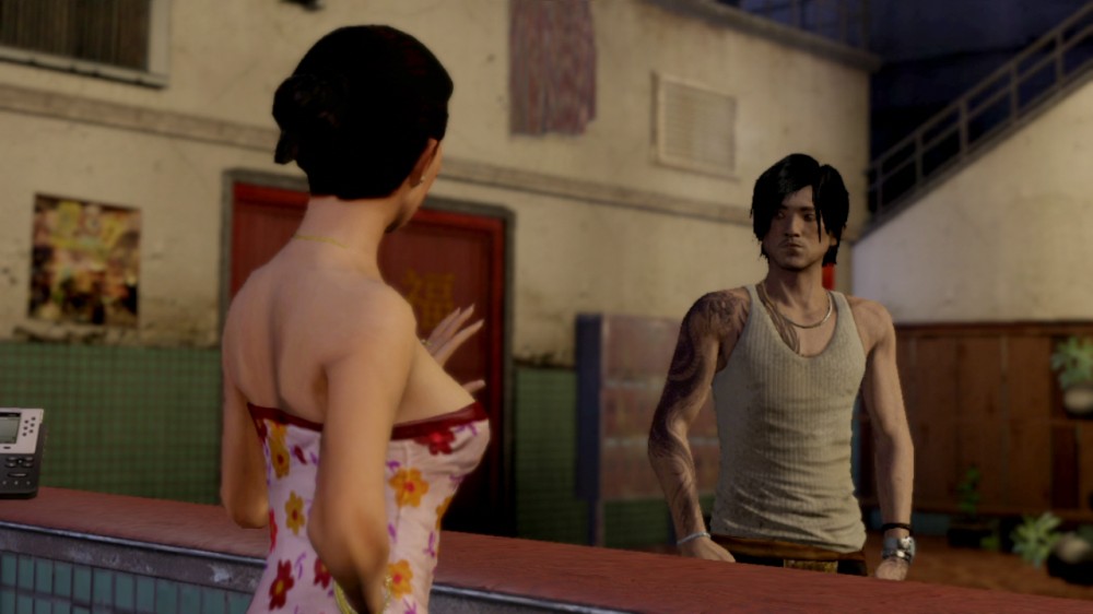 Sleeping Dogs