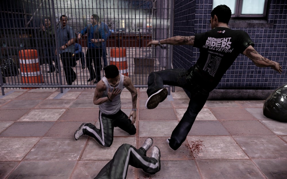 Sleeping Dogs