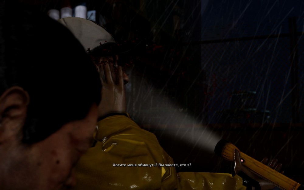 Sleeping Dogs