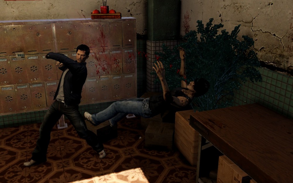 Sleeping Dogs