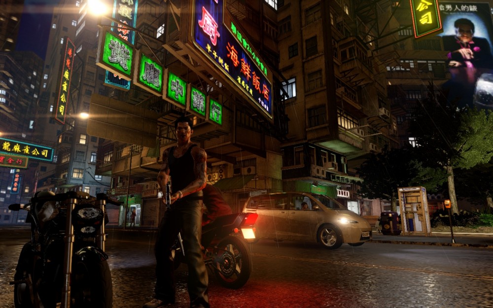 Sleeping Dogs