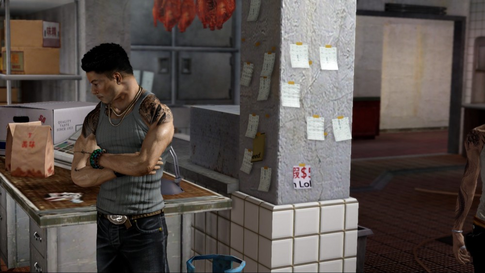 Sleeping Dogs