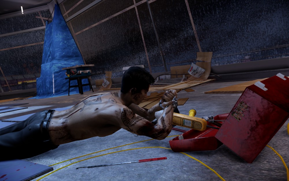 Sleeping Dogs
