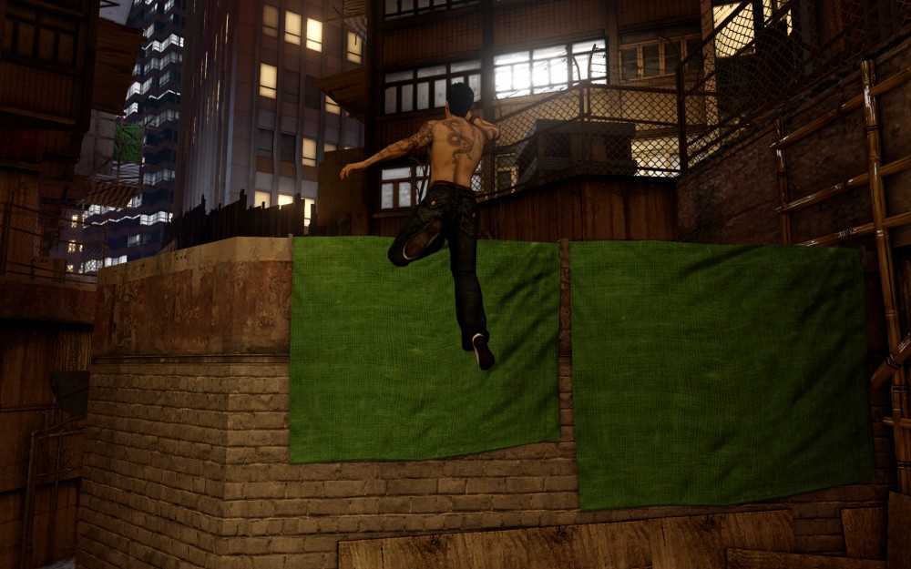 Sleeping Dogs