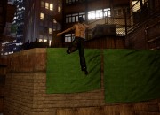 Sleeping Dogs