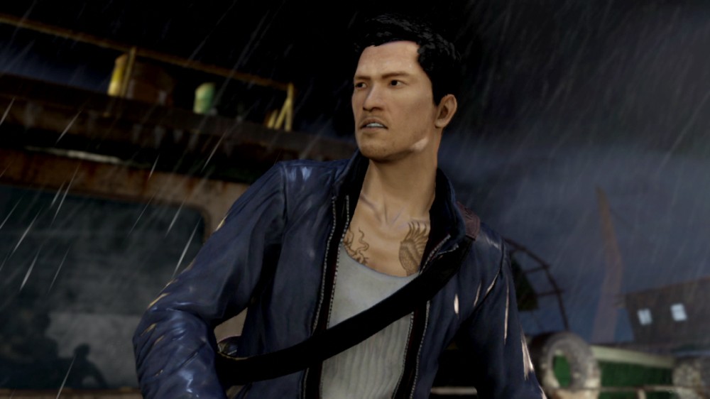 Sleeping Dogs