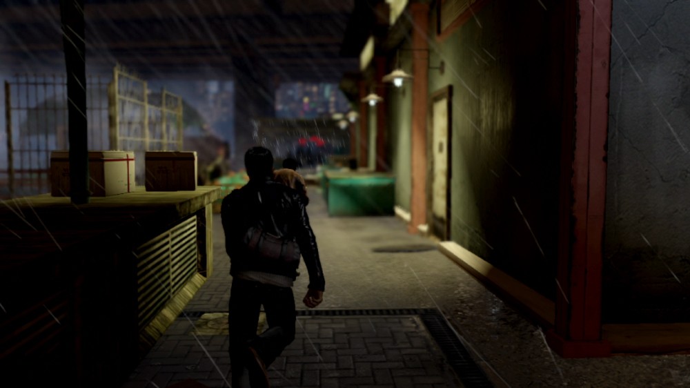 Sleeping Dogs