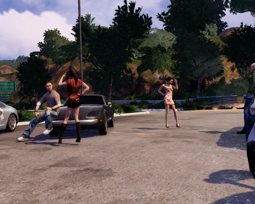 Sleeping Dogs